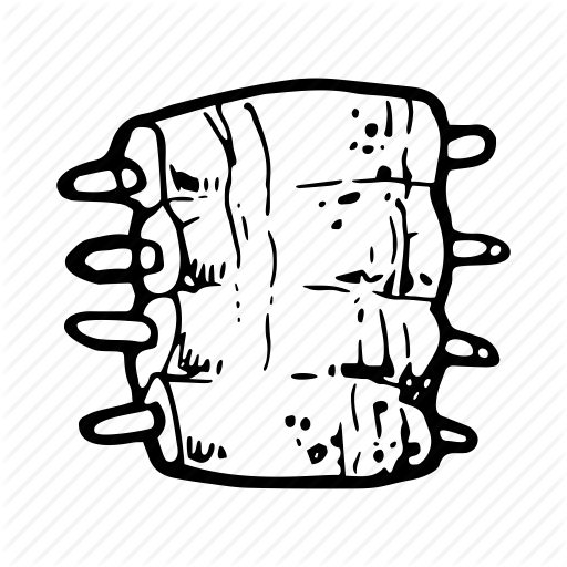 512x512 Beef, Chicken, Food, Kitchen, Meat Ribs, Ribs, Steak Icon Icon