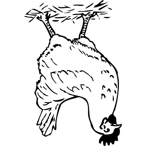 500x500 Contour Drawing