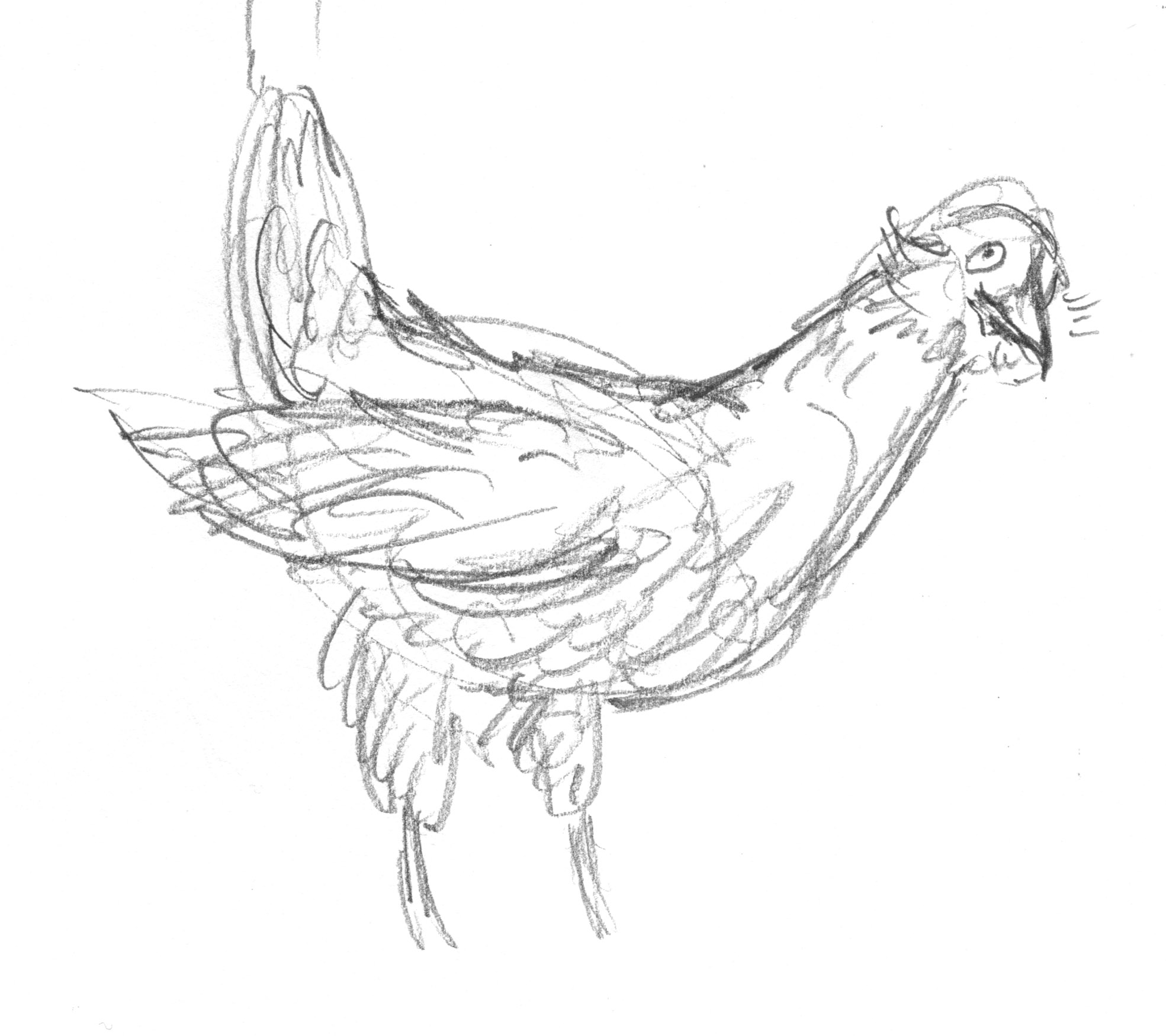 1969x1750 February 2015 Endpapers