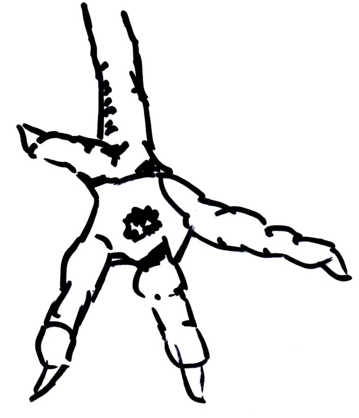 1165x1357 How To Treat Bumblefoot In Chickens Rainbow Ranch Farms