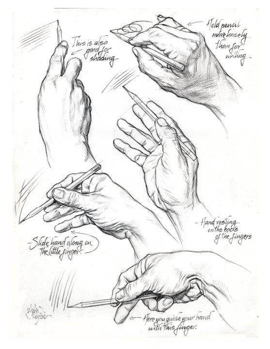 557x720 74 Best Hands And Feet Images On Sketches, Human Body
