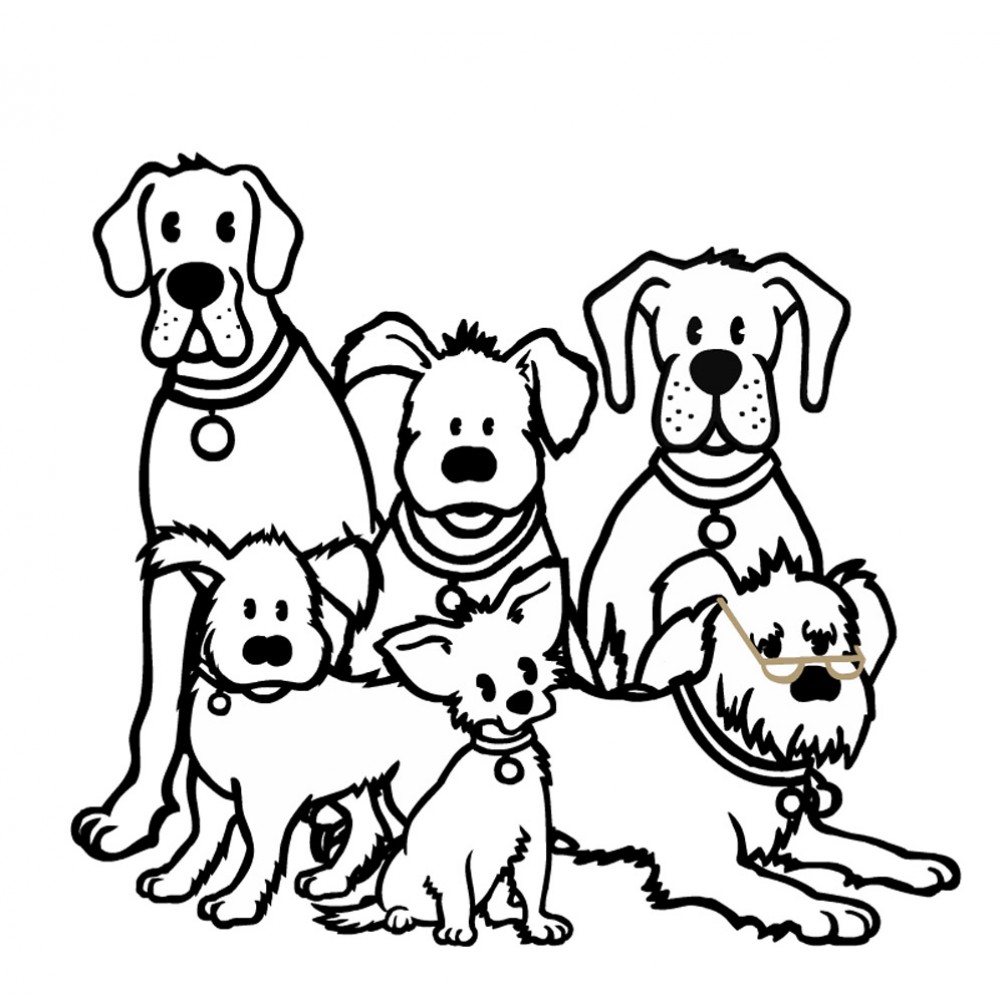 1000x1000 Barking Heads Big Foot Chicken 12kg Fin And Fur