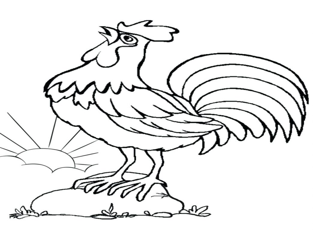1043x782 Chicken Worried Pencil And In Color Drumstick Coloring Pages 6