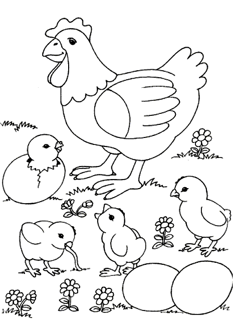 465x642 Coloring Chicken And Chicks And Eggs Picture