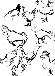 215x300 Chicken Feeding Drawings Fine Art America
