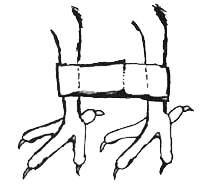 200x186 Splayed Leg Tilly's Nest