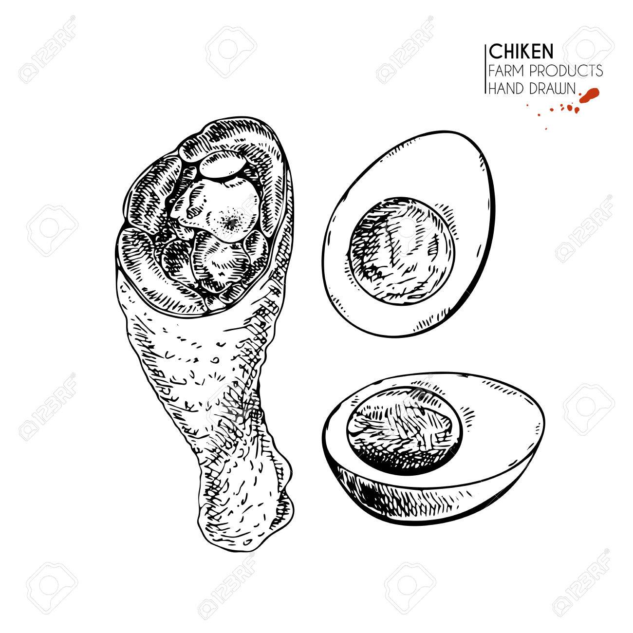 1300x1300 Vector Hand Drawn Set Of Farm Animals. Isolated Chicken Leg