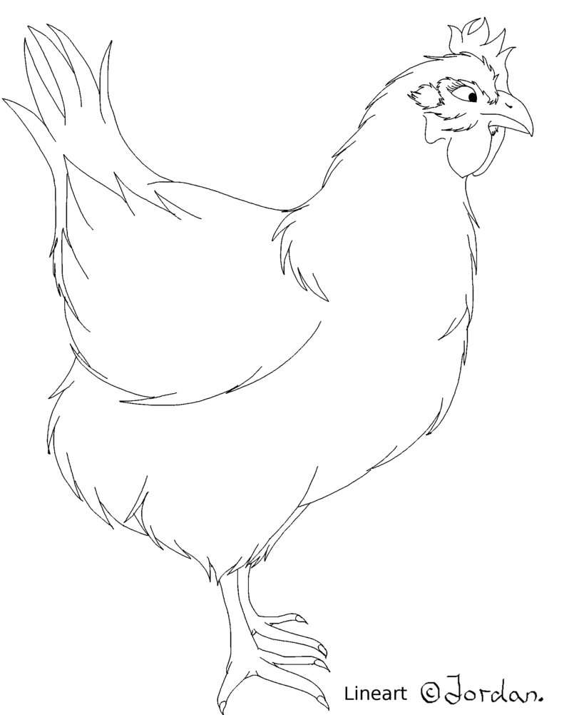 798x1002 Chicken Lineart By Jordanmireldis