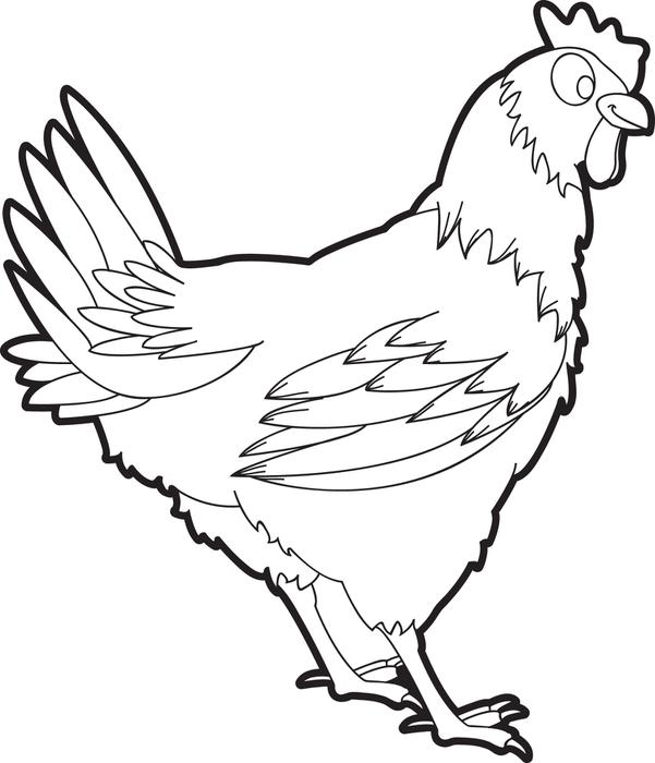 601x700 Free, Printable Chicken Coloring Page For Kids