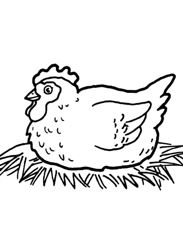 360x480 Hen On Nest Coloring Page Free Printable Coloring Pages