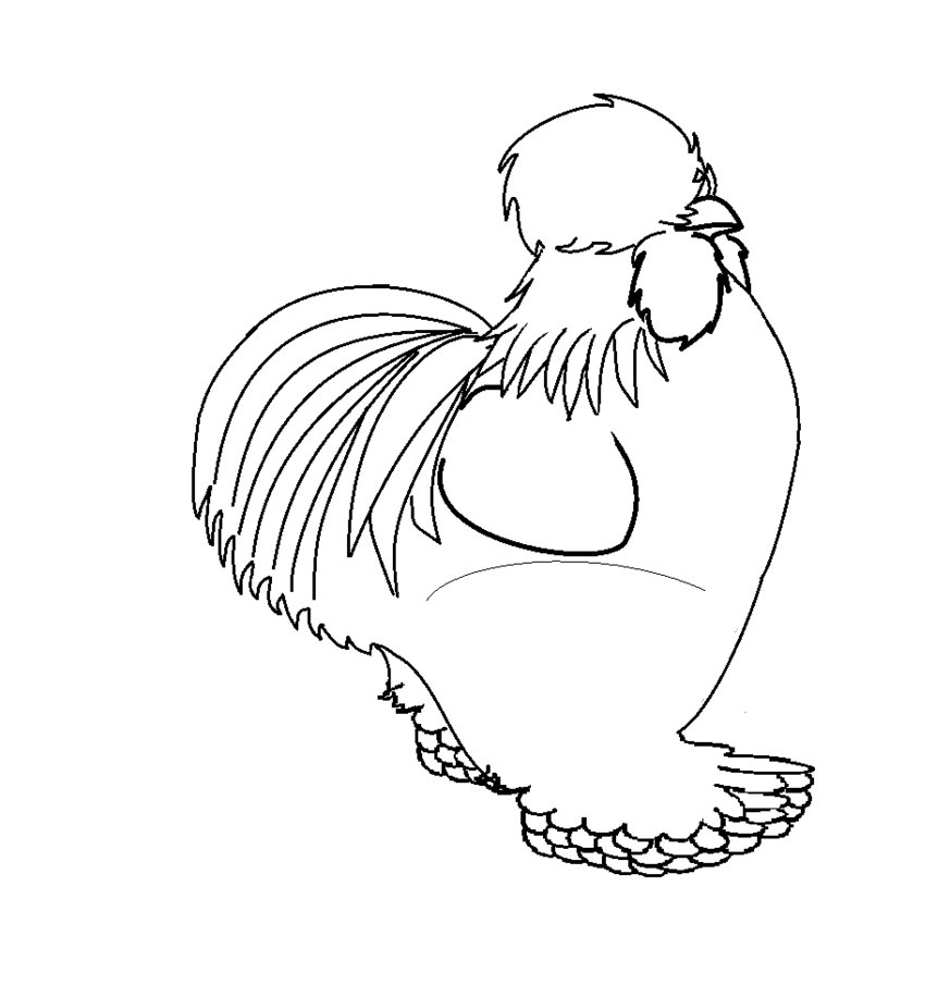 873x916 Silkie Cock Chicken Lineart By Rolldown