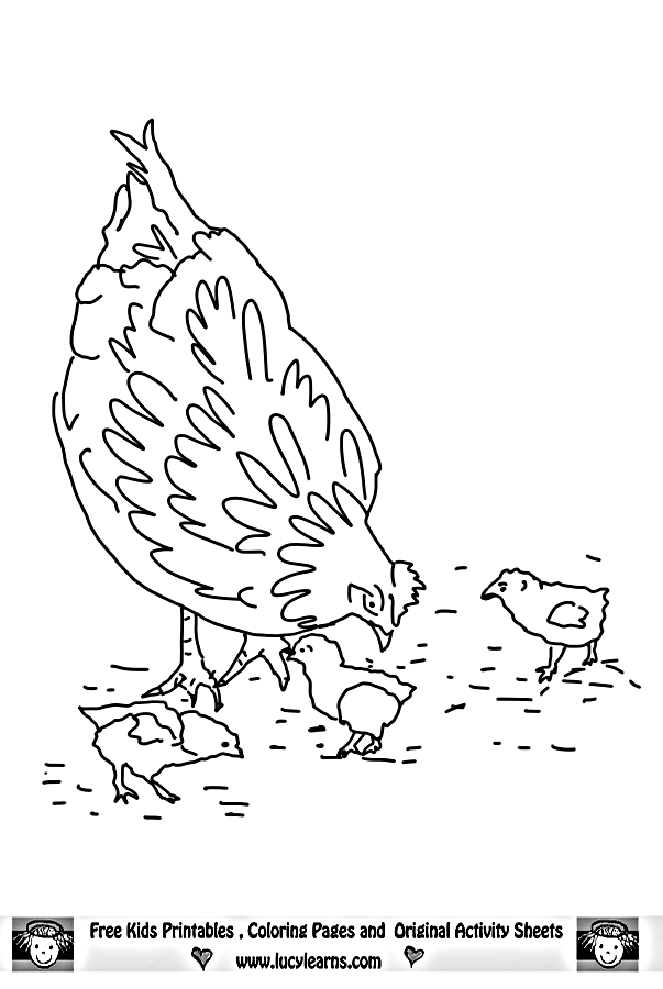 603x900 Chicken Outline Many Interesting Cliparts