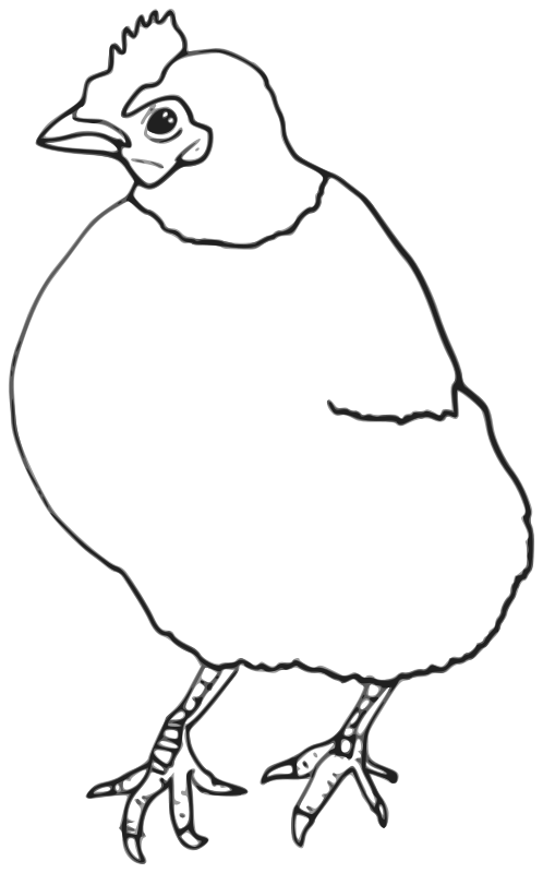 498x800 Free Clipart