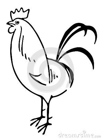 331x450 Line Drawing Of A Rooster Buzz, Whoo Tweet Tweeted