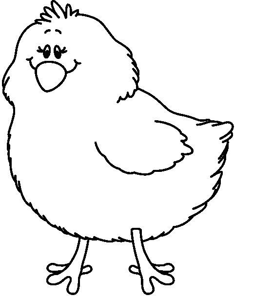 560x608 Baby Chicken Clipart Outline Collection