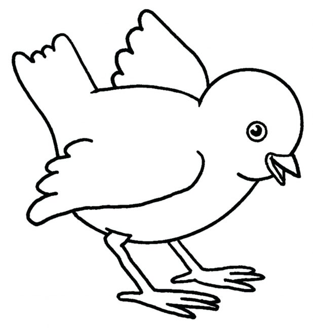 618x647 Easter Chick Outline Buscar Con Google. Bird Outline Template