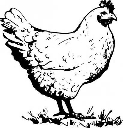 410x425 Nesting Hen Clipart