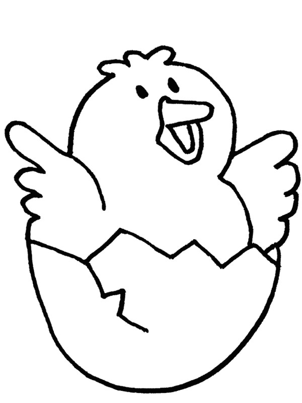 600x800 Chick Clipart Outline