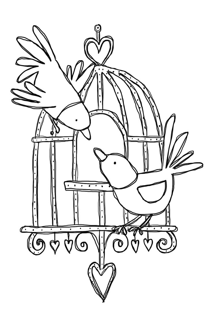 736x1104 Sketch Of Poultry Cage With Scratchnd Peck How To Draw
