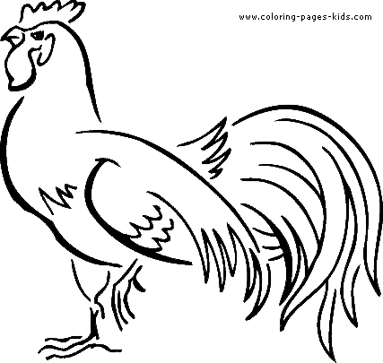 427x405 Chicken Scratch