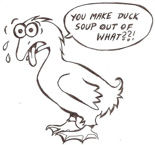 512x479 Polish Duck Soup