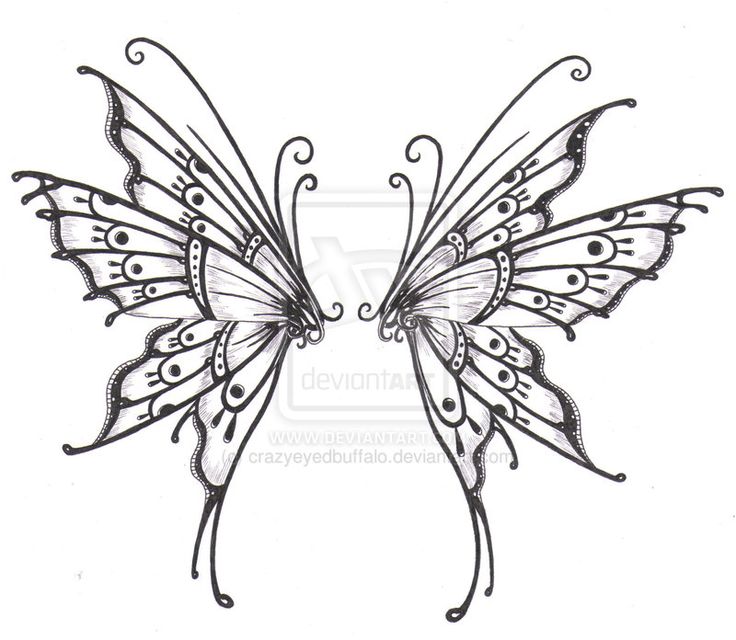 736x640 Drawn Wings Line Drawing