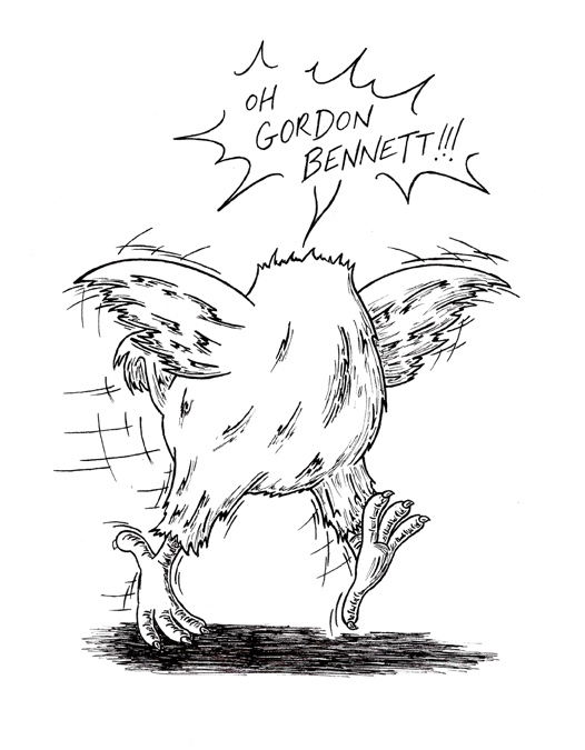 526x675 Headless Chicken Creativeliz