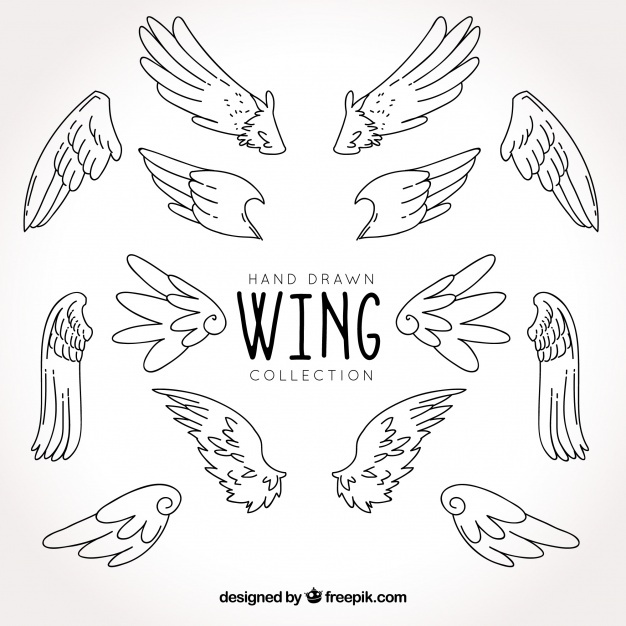 626x626 Black Wings Vectors, Photos And Psd Files Free Download