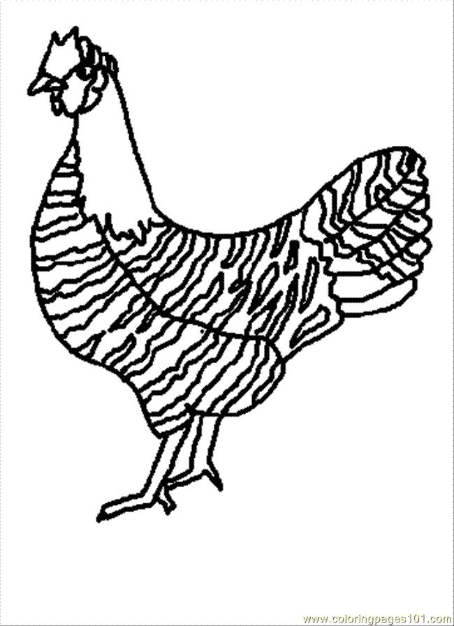 Chickens Drawing
