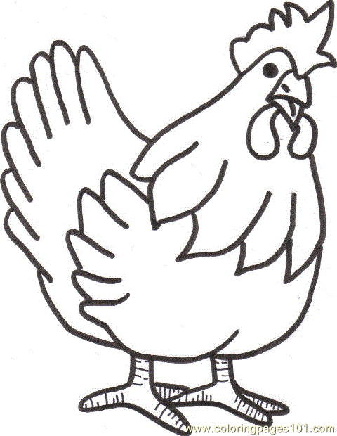 480x620 A Chicken Hen Farm Animal Coloring Pages