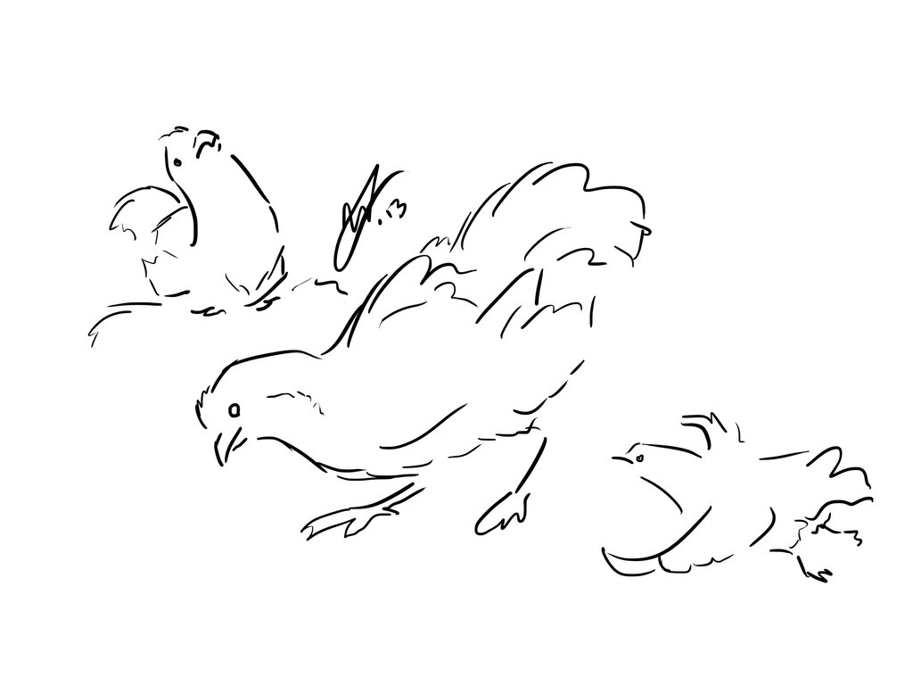 1024x768 Derp Chicken Doodles By Glasstriangles