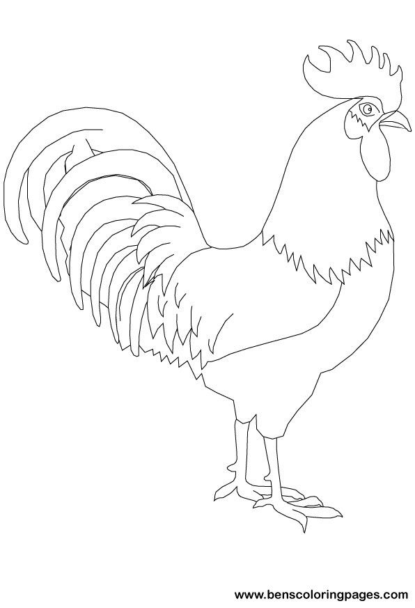 596x873 Drawn Chicken Glass