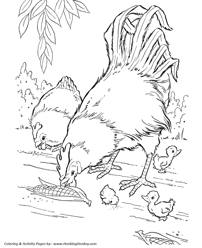 670x820 Farm Animal Coloring Pages Printable Chickens Coloring Page Corn