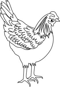 209x300 Black And White Clipart Chicken