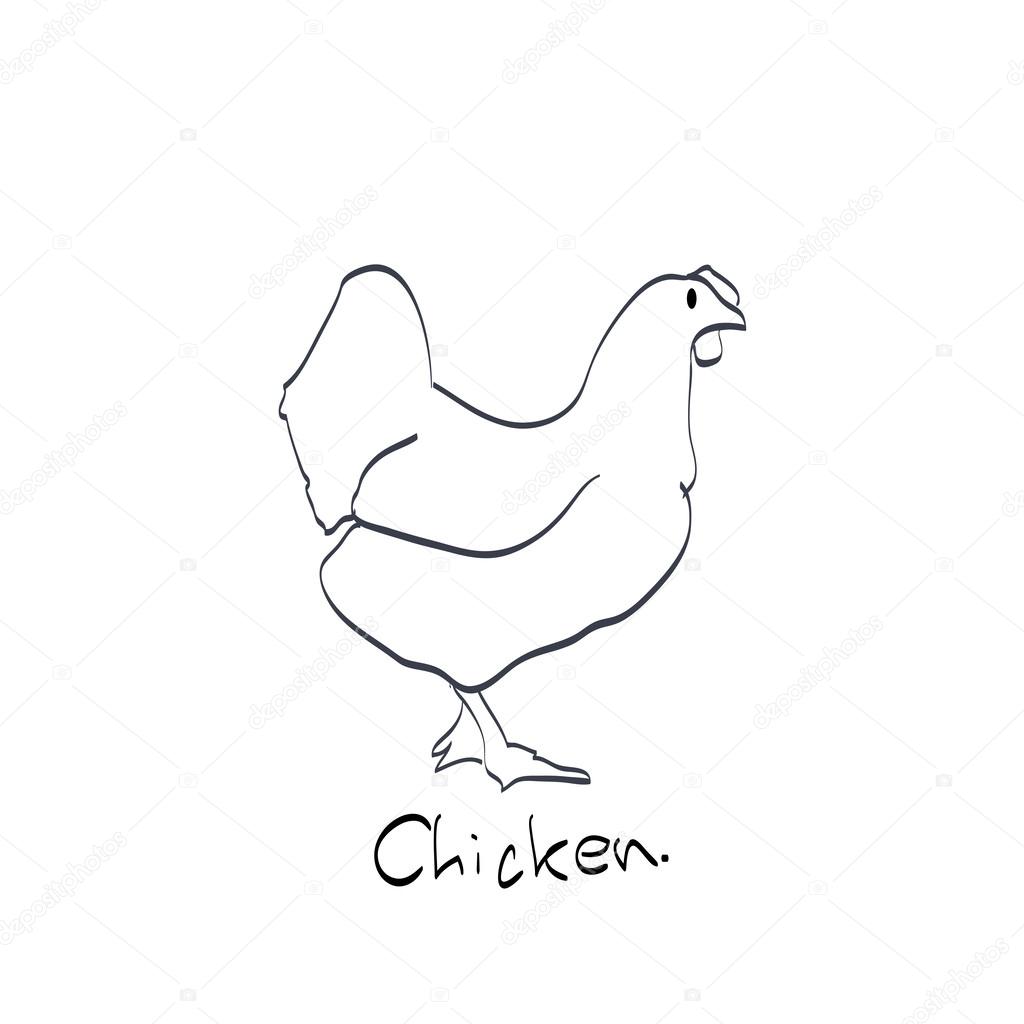 1024x1024 Chickens Sketch Stock Vector Dejongjet303