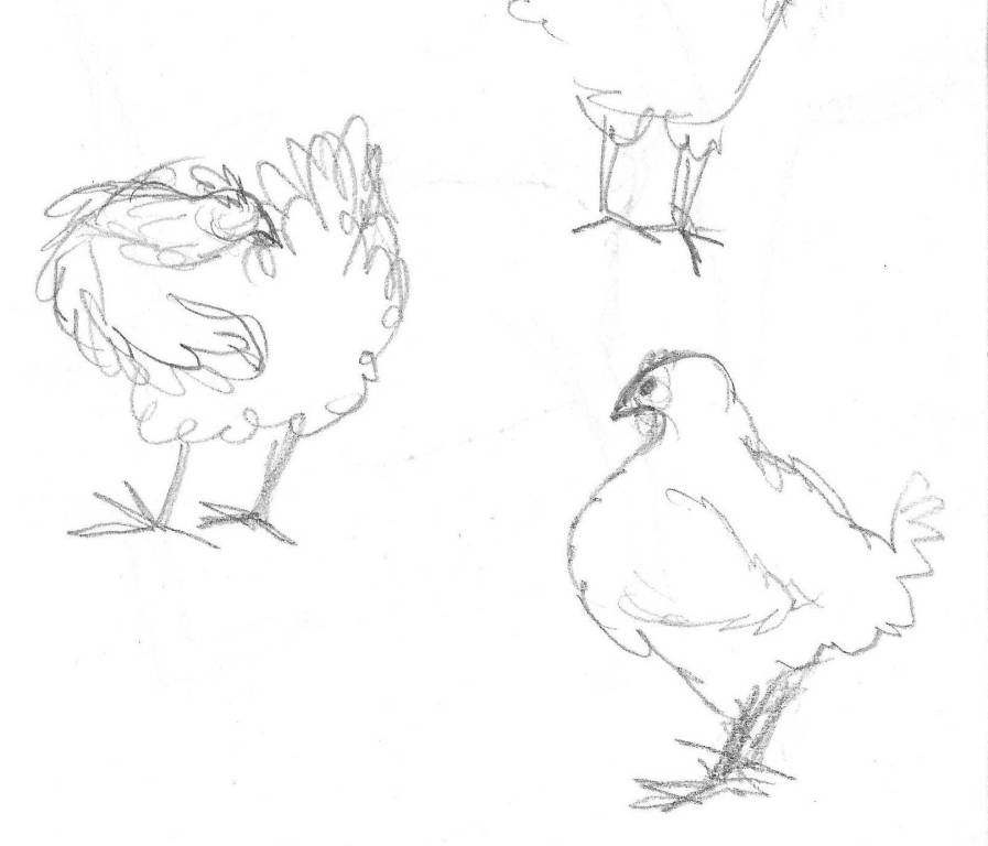 897x768 Pencil Development Cartoons