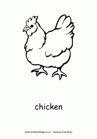 320x456 Chicken Colouring Pages