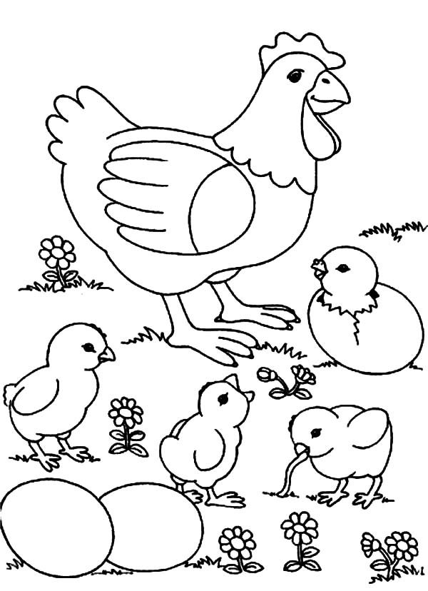 600x828 Chicken Mother And Chicks And Eggs Coloring Pages