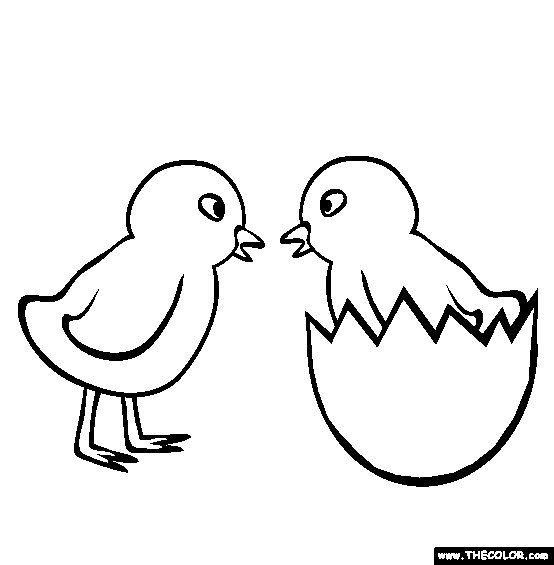 554x565 Chicks Coloring Page Free Chicks Online Coloring