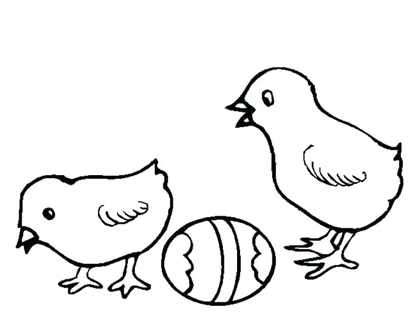 825x638 Chicks Coloring Pages Baby Chick Coloring Pages American Girl