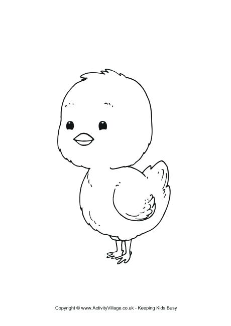 460x650 Chicks Coloring Pages How To Draw A Chick Step 4 Coloring Page