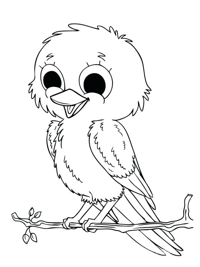 640x853 Girl Scout Coloring Pages Printable How To Draw A Chick Step Page