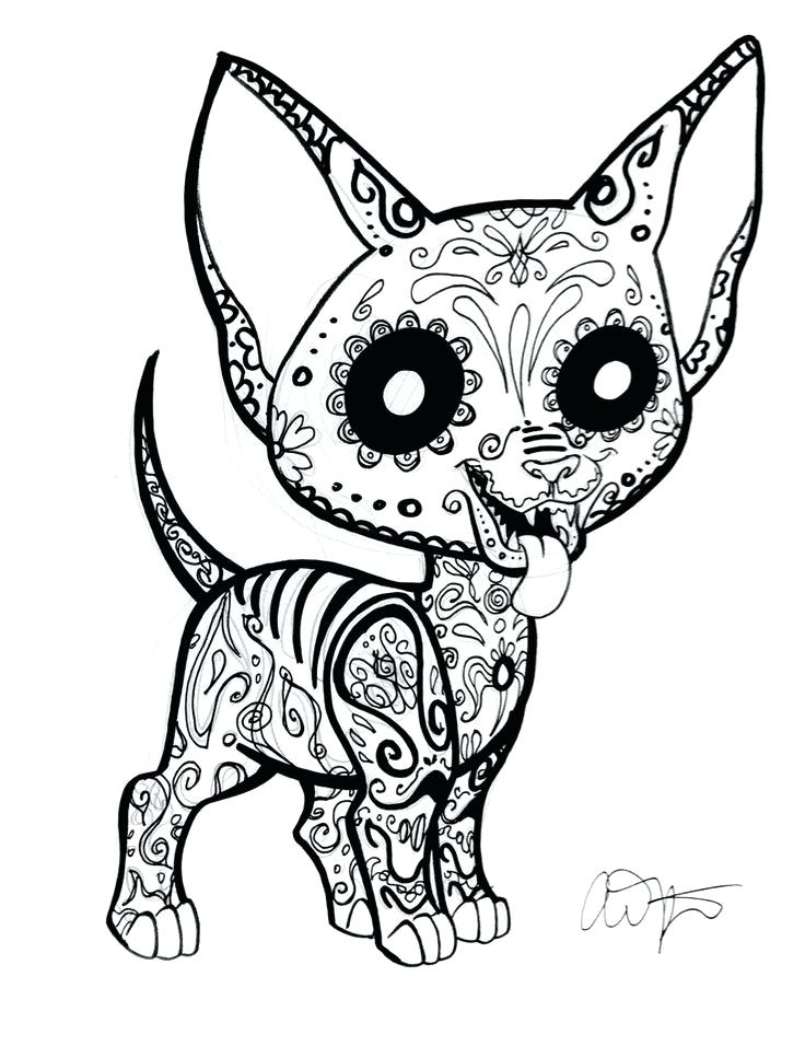 736x956 Small Dog Coloring Pages Coloring Pages A Monkey Carrying A Small