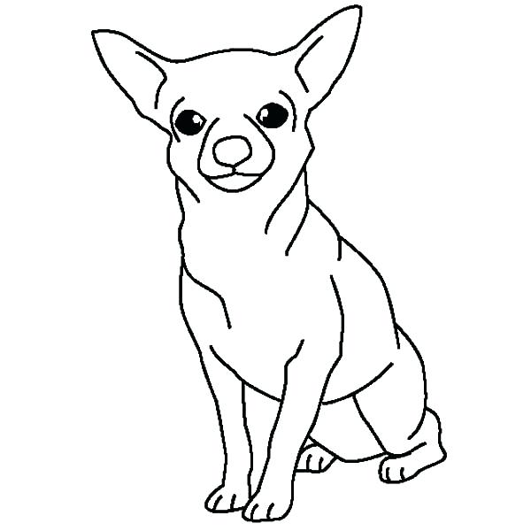 600x600 Chihuahua Coloring Page Dog Posing Pages Cu On Dogs Coloring Page