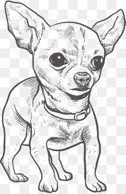 260x400 Chihuahua Png, Vectors, Psd, And Icons For Free Download Pngtree