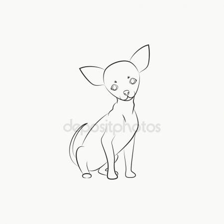450x450 Chihuahua Stock Vectors, Royalty Free Chihuahua Illustrations