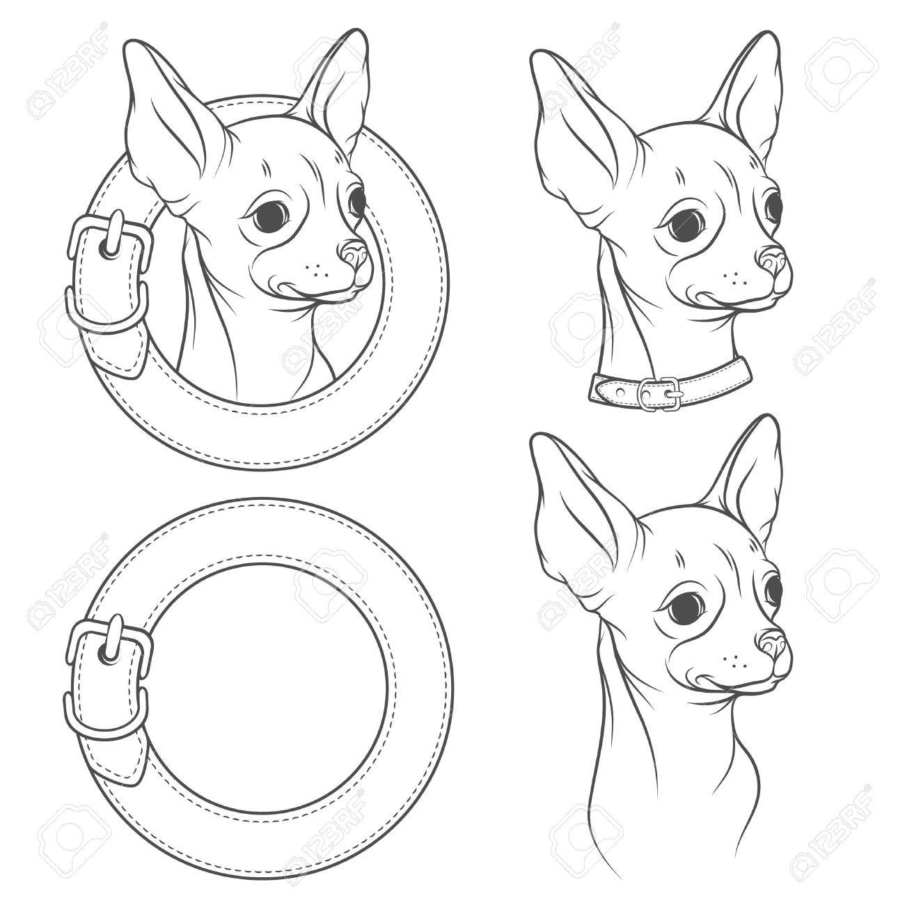 1300x1300 A Set Of Vector Drawing Of The Chihuahua In The Collar. Vector