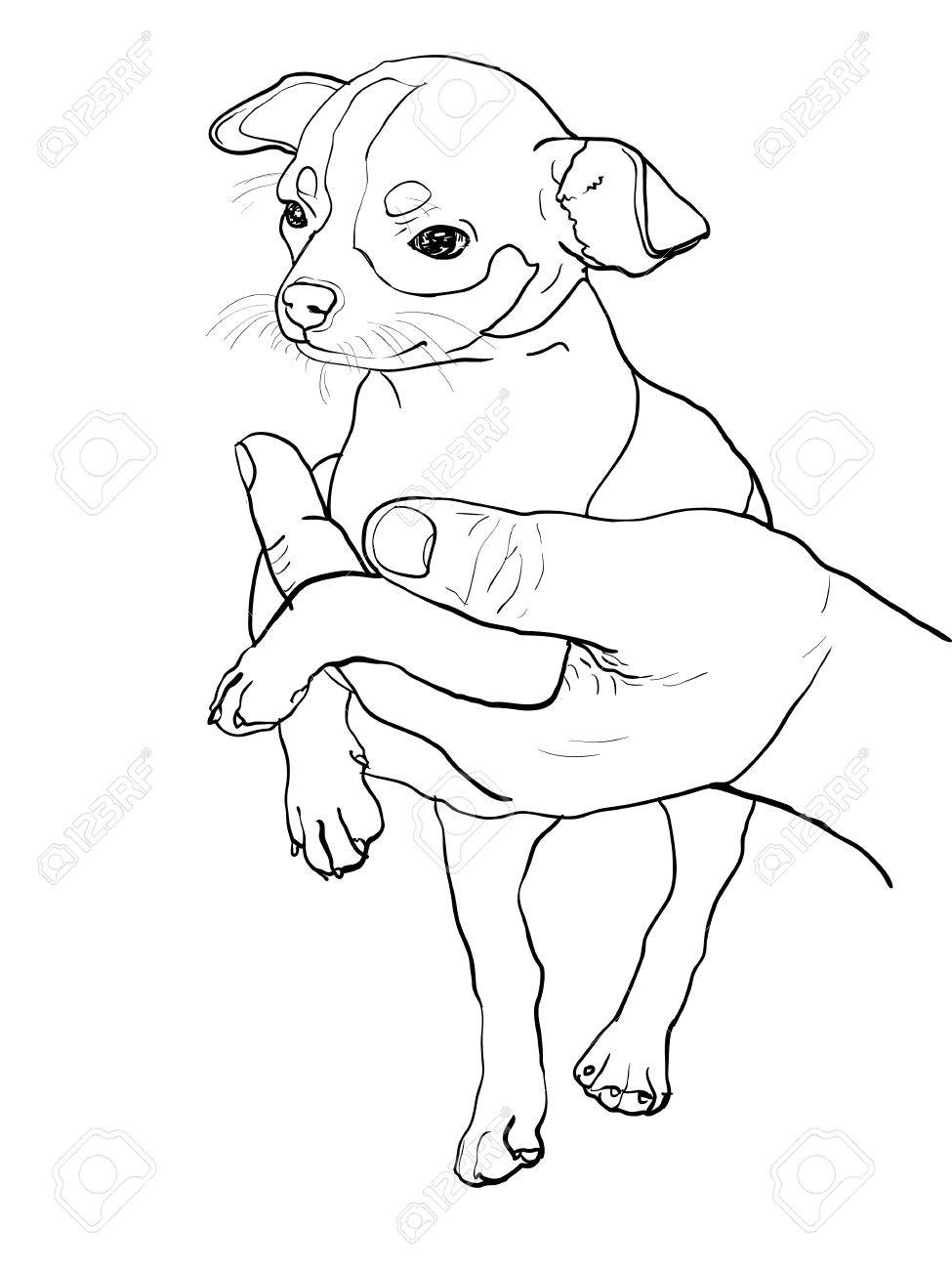 975x1300 The Drawing Of Chihuahua In Human Hand Royalty Free Cliparts