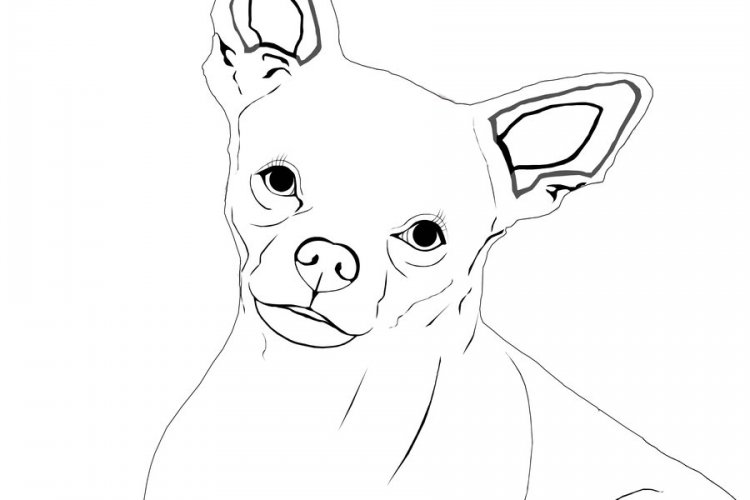 750x500 Coloring Pages Activities For Boys Pin Chihuahua Bebo Pandco