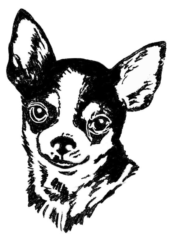 560x766 Dogs Engraved Rock